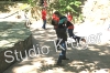 sbn_503-kopie